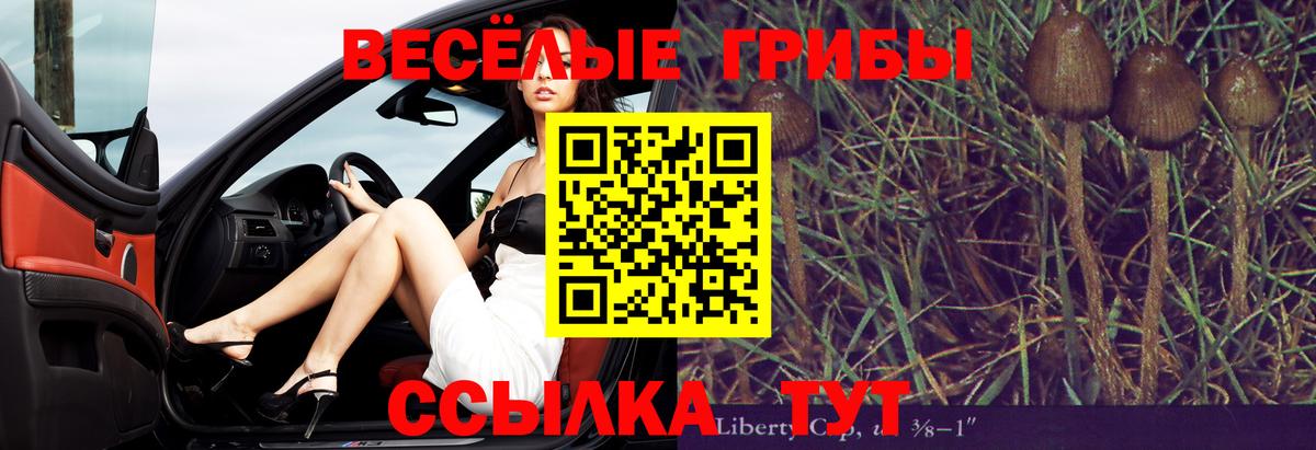 Людиново  Псилоцибиновые грибы Psilocybe  Вход с VPN 